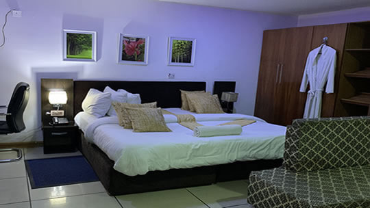 Executive Double (amsterdam)